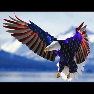 Meet your Posher, Petrosyan